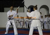 karate (70) (Αντιγραφή)